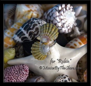 Double "Moonrise" Sunrise Shells Silver Wrap Ring Custom for "Robin"