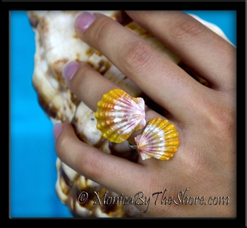 Double Sunrise Shells Fine Silver Wrap-Around Hawaii Ring
