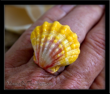 Extra Large Classic Pink & Yellow Hawaiian Sunrise Shell Silver Ring