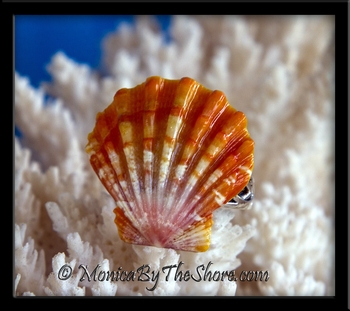 Fiery Orange Large Hawaiian Sunrise Shell Ring on Decorative Sterling Silver Band 
