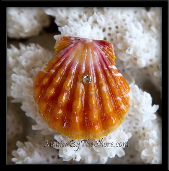 Fire Orange & Dark Pink Hawaiian Sunrise Shell Ring with Bling
