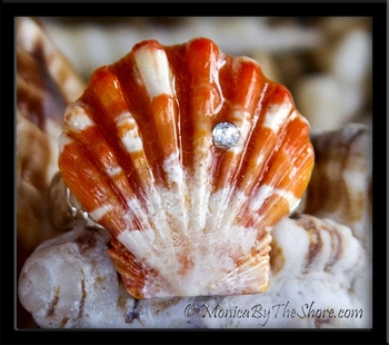 Fire Orange Hawaiian Sunrise Shell Toe Ring with Swarovski Crystal Bling