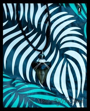 Fossilized Large MAKO Sharks Tooth Puka Shell and Tahitian Pearl Fossilized Large MAKO Sharks Tooth Puka Shell and Tahitian Pearl