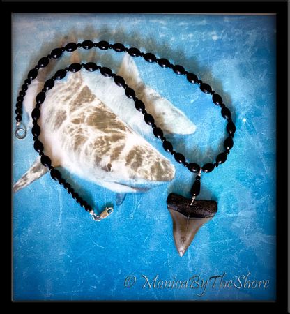 Fossilized Mako Shark Tooth Black Beaded Necklace 