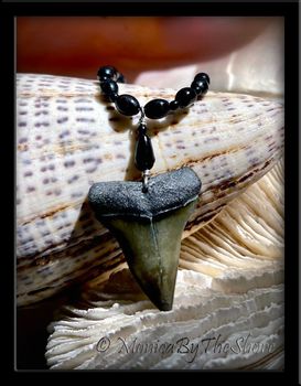 Fossilized Mako Shark Tooth Black Beaded Necklace 