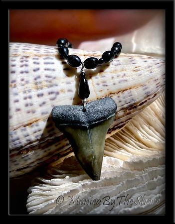 Fossilized Mako Shark Tooth Black Beaded Necklace 