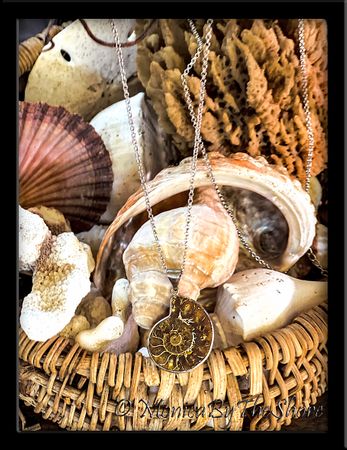 Fossilized Ammonite Shell Sterling Silver Pendant Medallion Necklace