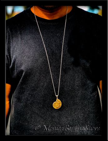 Fossilized Ammonite Shell Sterling Silver Pendant Medallion Necklace