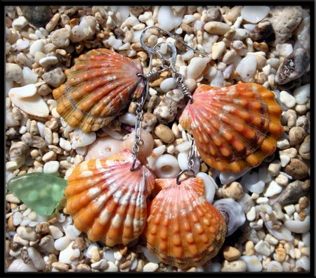 Four Orange Sunrise Shell Earrings