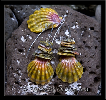 Full Moonrise "Blood Moon" Sunrise Shell and Moonrise Shell Chip Long Wire Earrings