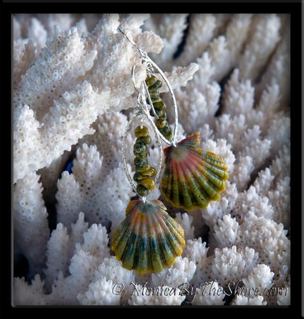 Green & Pink Hawaiian Sunrise Shells & Tahitian Mongo Shell Earrings