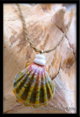 Green & Pink Moonrise Hawaiian Sunrise Shell & Puka Shell Necklace