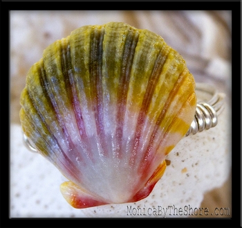 Green Rainbow Hawaiian Sunrise Shell & Silver Ring