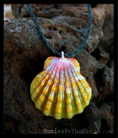 Green Rainbow Sunrise Shell & Twisted Cord Necklace