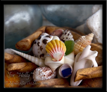 Hawaiian Sunrise Shell Fine Silver Ring Custom for "Holly"