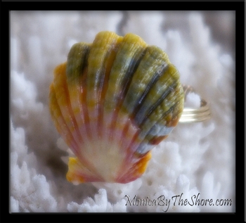 Hawaiian Sunrise Shell Gold Band Ring Custom for Heidi