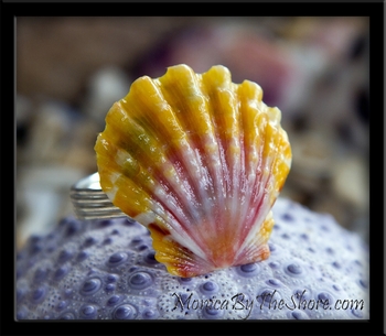 Hawaiian Sunrise Shell Ring Custom for Meika