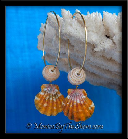 Hot Hawaiian Sunrise Shells & Natural North Shore Puka Shell Gold Hoop Earrings