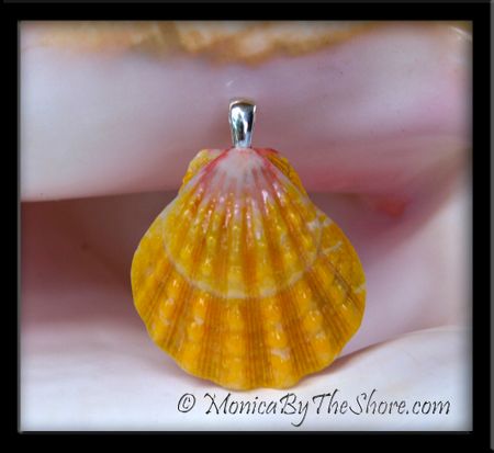 Jumbo Classic Hawaiian Sunrise Shell and Puka Shells Big Hoop Earrings Jumbo Classic Hawaiian Sunrise Shell and Puka Shells Big Hoop Earrings