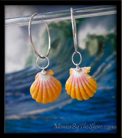 Large Bright Yellow & Pink Sunrise Shell Silver Hoop Earrings