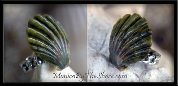 Large Dark Green "Moonrise" Sunrise Shell Sterling Silver Ring