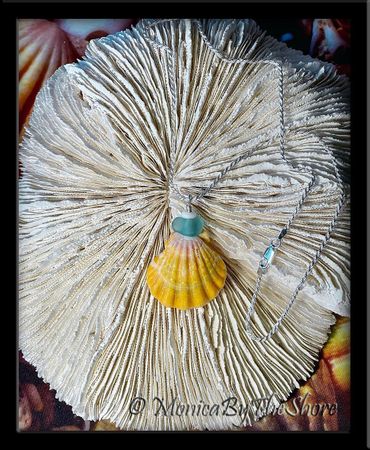 Large Hawaiian Sunrise Shell Aqua Seaglass Puka Shell Necklace