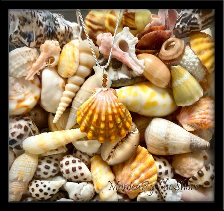 Mango Hawaiian Sunrise Shell Necklace 