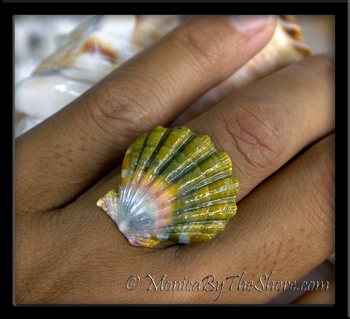 Moonrise Rainbow Hawaiian Sunrise Shell Balinese Silver Ring