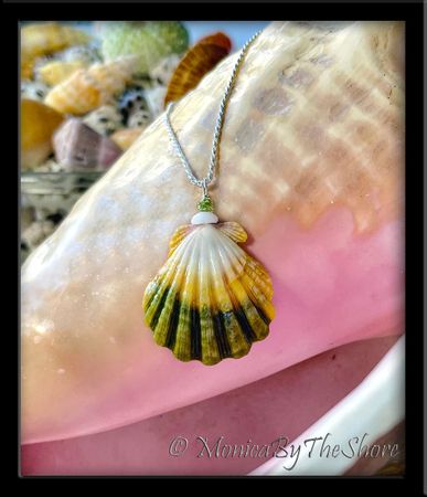 Moonrise Sunrise Shell Puka Shell and Olivine Stone Necklace