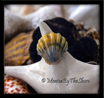 Moonrise Sunrise Shell Sterling Silver Ring