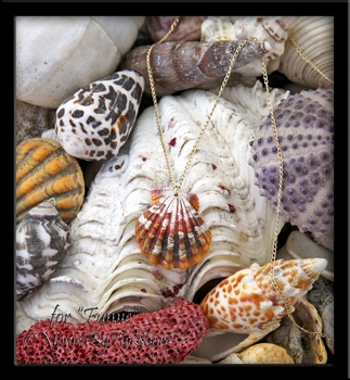 Custom Sunrise Shell Necklace for "Fumie" Custom Sunrise Shell Necklace for "Fumie"