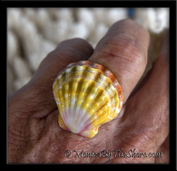 Multi Color Ruffled Hawaiian Sunrise Shell Sterling Silver Ring