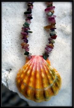 Multi Color Sunrise Shell & Tourmaline Necklace