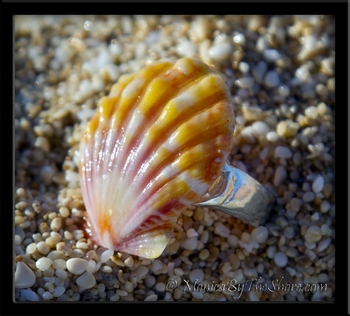 Orange Pink Hawaiian Sunrise Shell Toe Ring