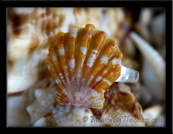Orange Speckles Hawaiian Sunrise Shell Toe Ring