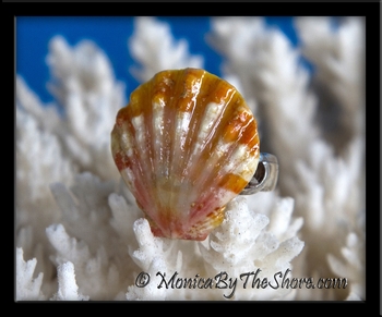 Orange White Pink Sunrise Shell Silver Pinky or Toe Ring