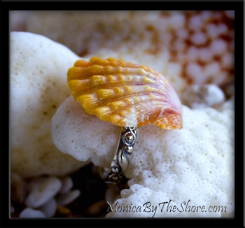 Over-sized Hawaiian Mango Sunrise Shell Fancy Sterling Silver Ring