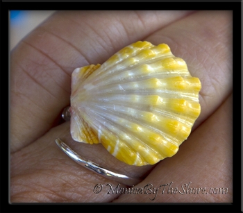 Pale Lemon Hawaiian Sunrise Shell Slant Wrap Silver Ring