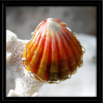 Peach Sunrise Shell Ring