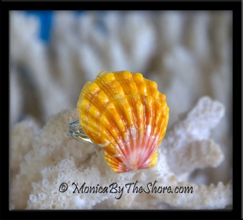 Perfect Pink, Orange & Yellow Hawaiian Sunrise Shell Silver Ring