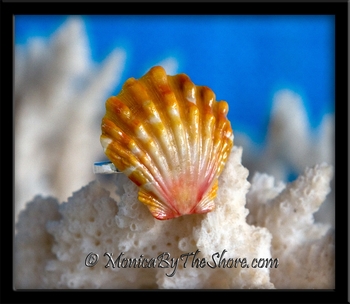Pink and Orange Hawaiian Sunrise Shell Sterling Silver Ring