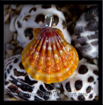 Pink & Tangerine Hawaiian Sunrise Shell Pendant with Sterling Silver Bale