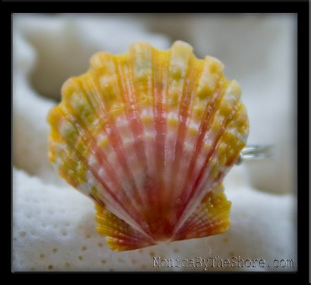 Pink Yellow & Green Calico Hawaiian Sunrise Shell Silver Ring