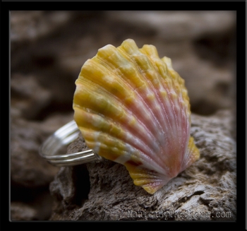 Pink Yellow & Green Calico Hawaiian Sunrise Shell Silver Ring