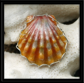 Pink Yellow Sunrise Shell Ring