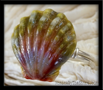 Rare Green & Pink Sunrise Shell & Silver Ring