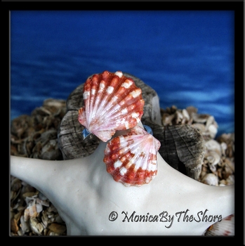 Rare Red Hawaiian Sunrise Shells Double Wrap Around Sterling Silver Ring