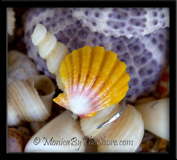 Sexy Slant Design Hawaiian Classic Sunrise Shell Wrap Ring