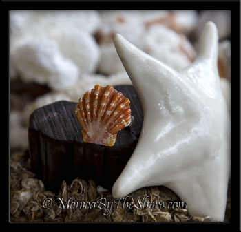 Solid Orange Hawaiian Sunrise Shell Toe, Pink or Child's Sterling Silver Adjustable Ring