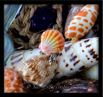 Sunburst Sunrise Shell Slant Splash Wrap Silver Ring